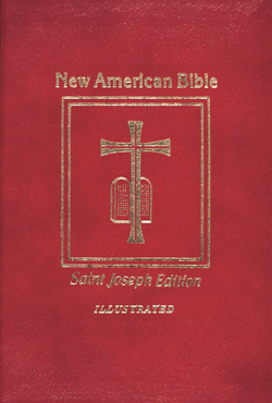 St Joseph New American Bible