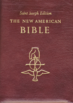 St Joseph New American Bible - Burgandy