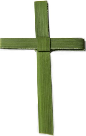 Palm Cross Lent Easter Prospect Hill Religious Goods Brockton