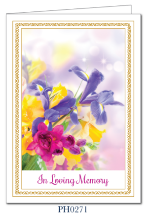 Mass Cards for the Living and Deceased (box of 50 complete with envelopes) PH0271