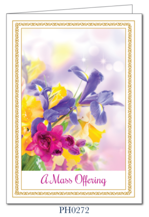 Mass Cards for the Living and Deceased (box of 50 complete with envelopes) PH0272